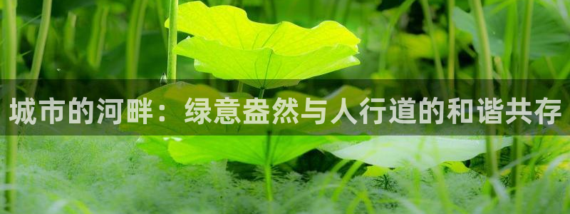 天顺娱乐平台:城市的河畔:绿意盎然与人行道的和谐共存