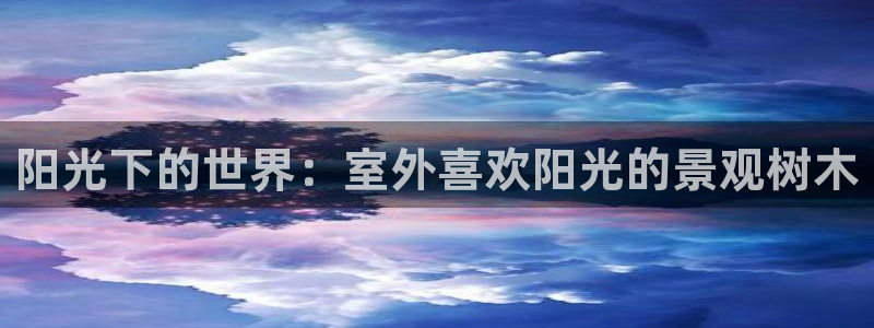 天顺娱乐鸟55312:阳光下的世界:室外喜欢阳光的景观树木