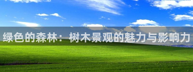 天顺娱乐地址查询官网:绿色的森林:树木景观的魅力与影响力