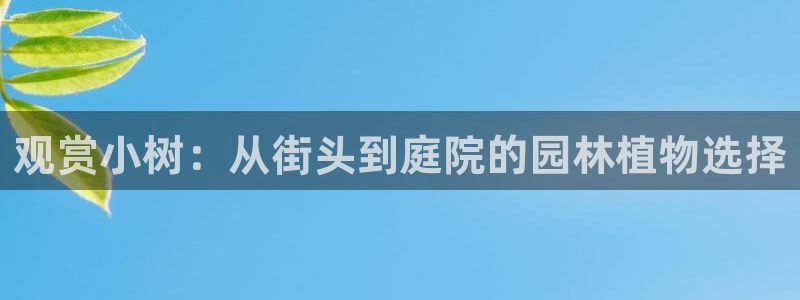 天顺娱乐附943994:观赏小树:从街头到庭院的园林植物选择