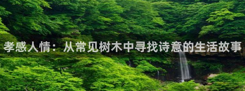 天顺娱乐男亩p官29999:孝感人情:从常见树木中寻找诗意的生活故事