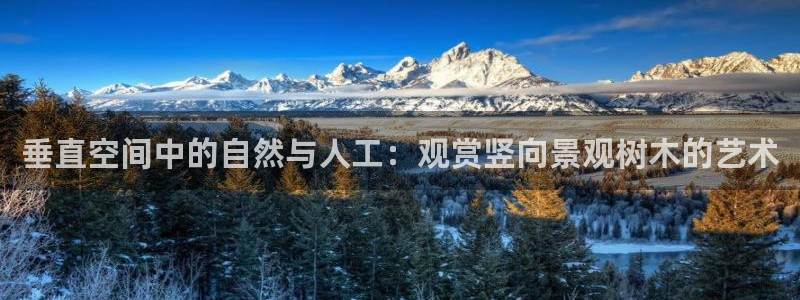 天顺娱乐z.主管57661:垂直空间中的自然与人工:观赏竖向景观树木的艺术