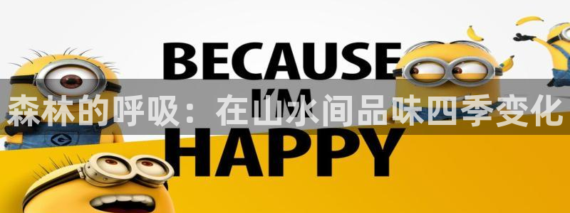 天顺娱乐负责人屮和p29999:森林的呼吸:在山水间品味四季变化