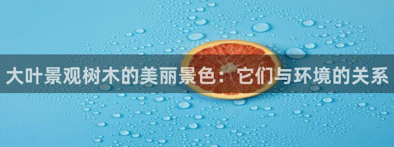 天顺娱乐讠675138:大叶景观树木的美丽景色:它们与环境的关系
