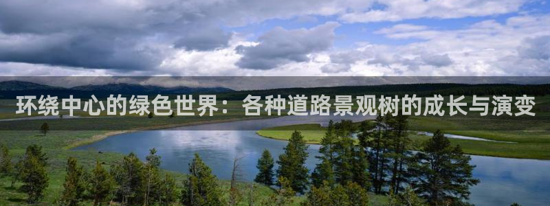 天顺娱乐艺q96303:环绕中心的绿色世界:各种道路景观树的成长与演变
